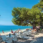 Apartment 1 Bedroom Beautiful In *