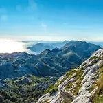 아파트 1 Bedroom Amazing In