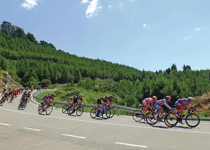 1 Bedroom Amazing In Apartment *